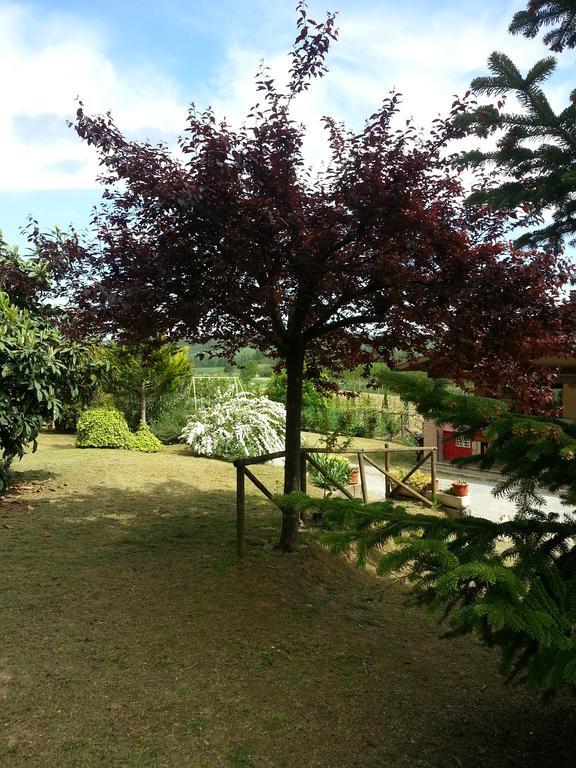 Podere Chiasso Gherardo Peccioli Zewnętrze zdjęcie