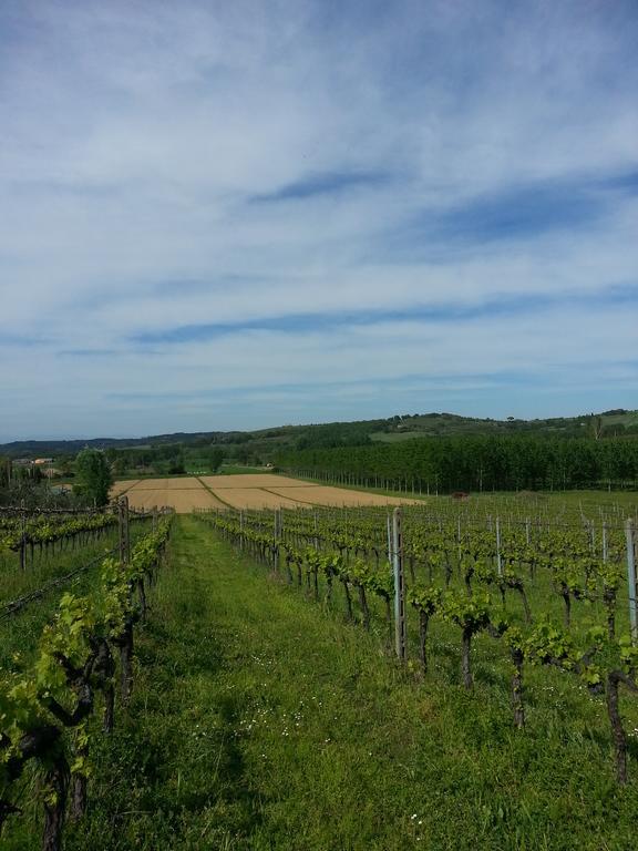 Podere Chiasso Gherardo Peccioli Zewnętrze zdjęcie