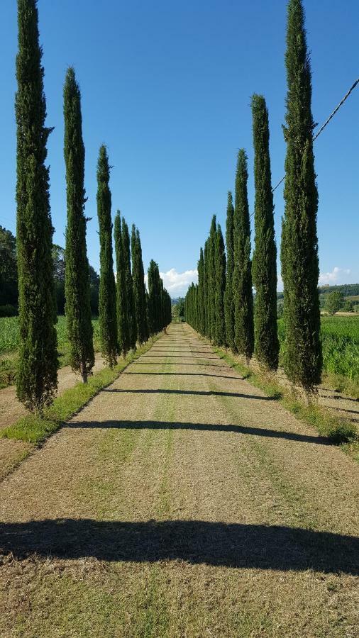 Podere Chiasso Gherardo Peccioli Zewnętrze zdjęcie