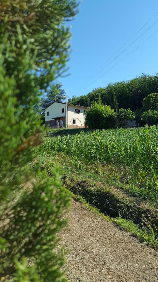 Podere Chiasso Gherardo Peccioli Zewnętrze zdjęcie